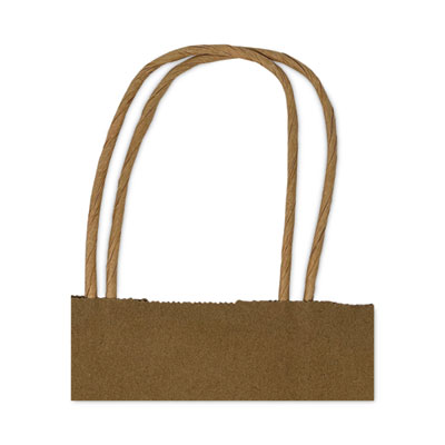 Kraft Paper Bags, Natural Twisted-Paper Handles, Regal Size, 12