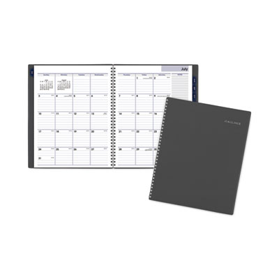 AT-A-GLANCE® DayMinder® Academic Monthly Planner