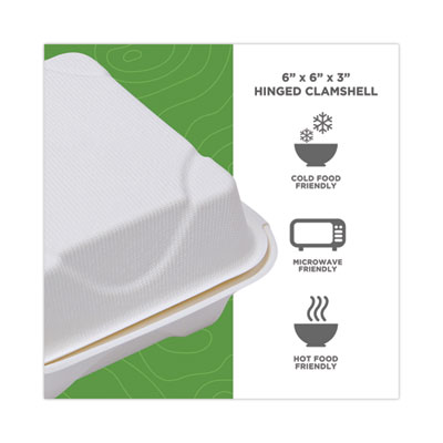 Molded Fiber Hinged Clamshell Containers, 6 x 6 x 3, White, Sugarcane, 50/Pack, 10 Packs/Carton