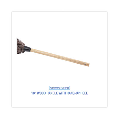 Professional Ostrich Feather Duster, 10