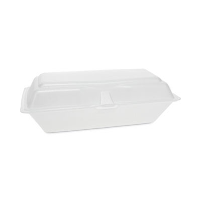 Hinged Lid Plastic Boxes with latch for locking. Clear