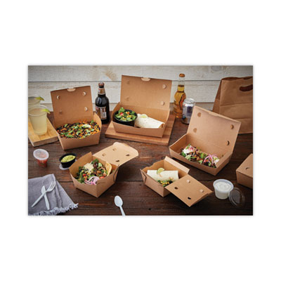 EarthChoice OneBox Paper Box, 55 oz, 9 x 4.85 x 2, Brown, 100/Carton