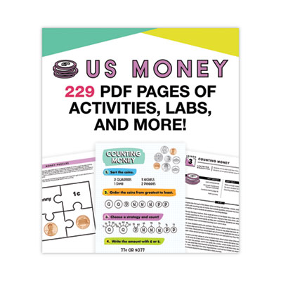 In a Flash USB, US Money, Ages 6-8, 229 Pages