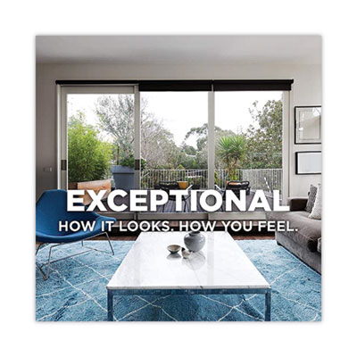 Foaming Glass Cleaner, 19 oz Aerosol Spray Can, 6/Carton