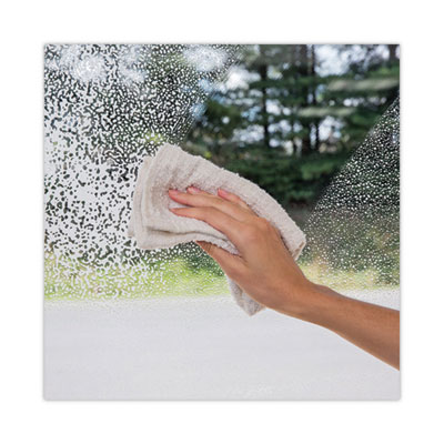 Foaming Glass Cleaner, 19 oz Aerosol Spray Can