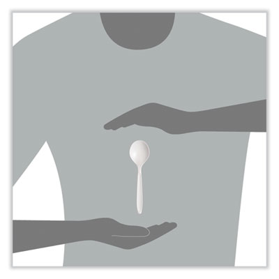 Reliance Mediumweight Cutlery, Soup Spoon, Plastic, White, 1,000/Carton
