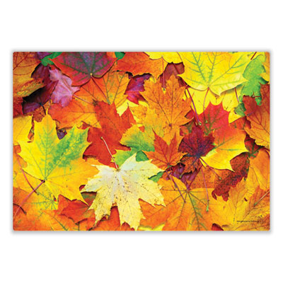 Autumn Days Multi-Pack Placemats, 10 x 14, Three Different Designs, 1,000/Carton