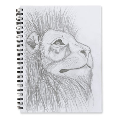 UCreate Poly Cover Sketch Book, 43 lb Cover Paper Stock, Black Cover, (75) 12 x 9 Sheets