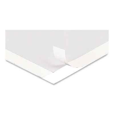 deflecto Self Adhesive Sign Holders, 11 x 17, Clear with White Border, 2/Pack (DEF68886W) DEF68886W