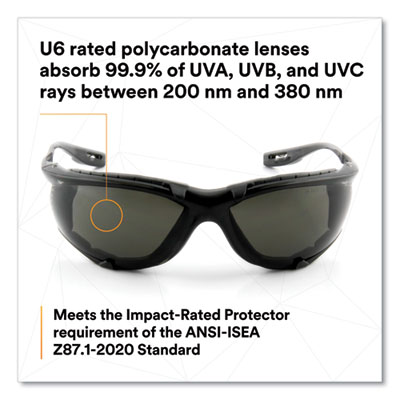 Virtua CCS Protective Eyewear with Foam Gasket, Black/Gray Plastic Frame, Gray Polycarbonate Lens