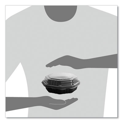 CONTAINER,PLST,HINGED,6