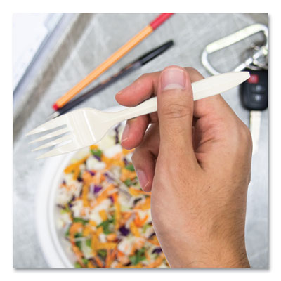 Regal Mediumweight Cutlery, Full-Size, Fork, White, 1,000/Carton