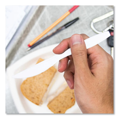 Reliance Mediumweight Cutlery, Standard Size, Knife, Plastic, White, 1,000/Carton