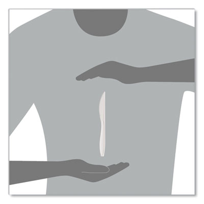 Reliance Mediumweight Cutlery, Standard Size, Knife, Plastic, White, 1,000/Carton