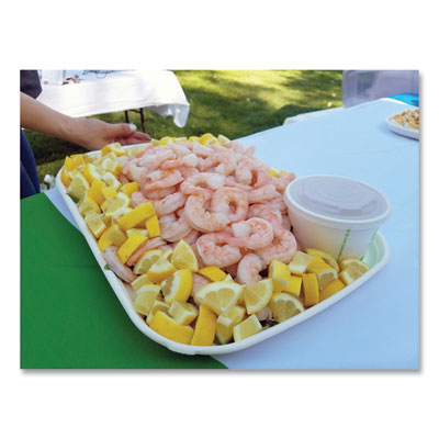 TRAY,VG,FIBER,13X17,100