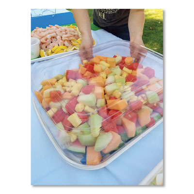 TRAY,VG,FIBER,13X17,100