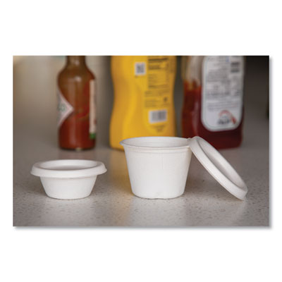 CUP,SC,PORTION,2OZ,2500/C