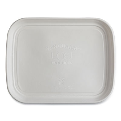 TRAY,VG,FIBER,13X17,100