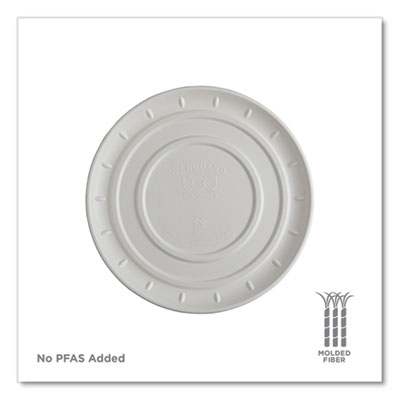 TRAY,VNGUARD.PIZZA,16