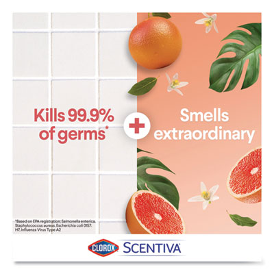 DISINFECTANT,MLTSF,GR,9/C