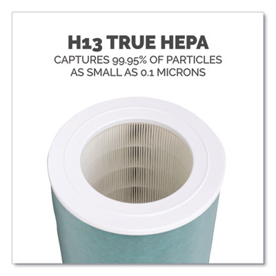 AeraMax SE Combo Filter, 10.87