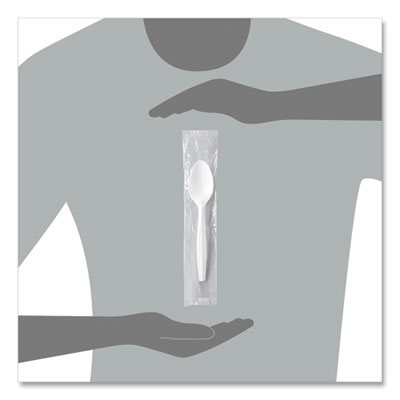 Regal Mediumweight Cutlery, Individually Wrapped, Spoon, Plastic, White, 1,000/Carton