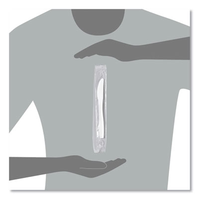 Regal Mediumweight Cutlery, Individually Wrapped, Knife, Plastic, White, 1,000/Carton