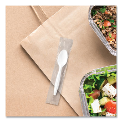 Regal Mediumweight Cutlery, Individually Wrapped, Spoon, Plastic, White, 1,000/Carton