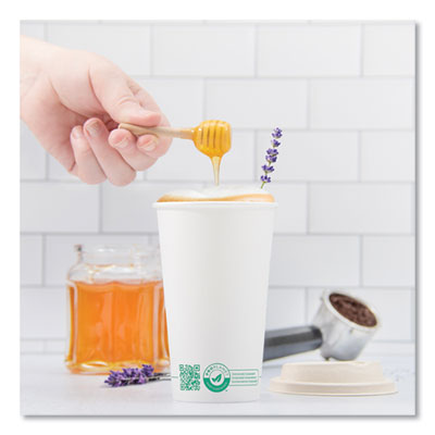 Compostable Paper Hot Cups, 20 oz, White/Green, 600/Carton