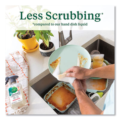 Foaming Dish Spray, Mandarin Orange Scent, 16 oz Bottle, 6/Carton