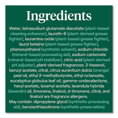 Foaming Dish Spray, Mandarin Orange Scent, 16 oz Bottle, 6/Carton