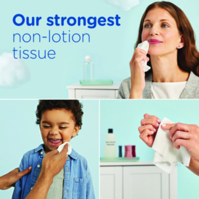 Ultra Soft Facial Tissue, 2-Ply, White, 72 Sheets/Box, 24 Boxes/Carton