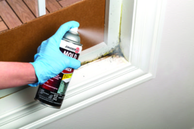 Mold Blocking Primer Spray, Interior/Exterior, Flat White, 13 oz Aerosol Can, 6/Carton