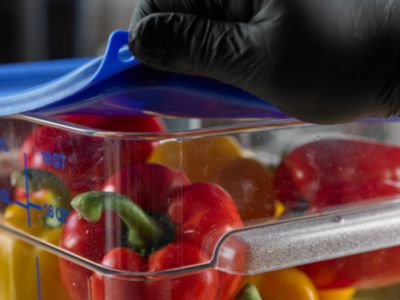 Squares Food Storage Container Lid, 11.38 x 11.38 x 0.63, Blue, Plastic