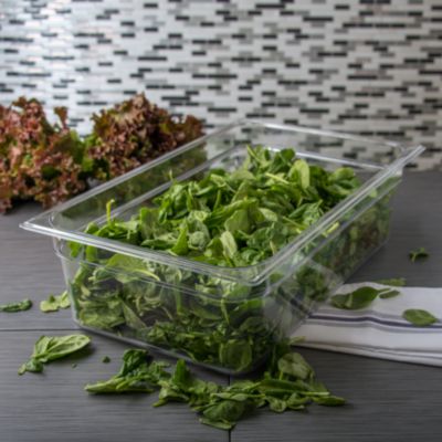 StorPlus Polycarbonate Food Pan, 19.4 qt, 12.5 x 20.75 x 6, Clear, Plastic