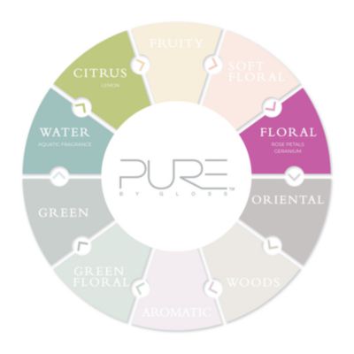SHAMPOO,PURE BY GLOSS,226