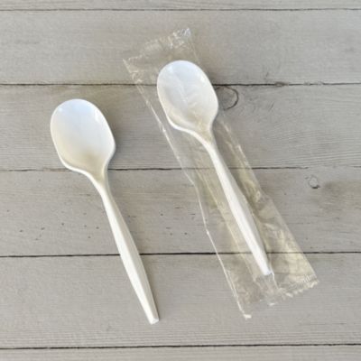 Mediumweight Wrapped Polypropylene Cutlery, Soup Spoon, 4.86