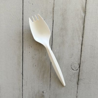 Mediumweight Polypropylene Cutlery, Spork, Plastic, White, 1,000/Carton