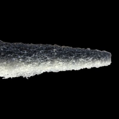 EZ Care Polishing Pad, 20