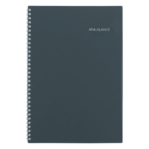 DayMinder Weekly/Monthly Planner, 8 x 5, Gray/Silver Cover, 12-Month (Jan to Dec): 2024