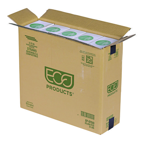 ECOEPST513