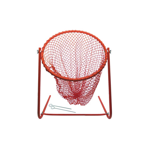 Champion multi sport net online