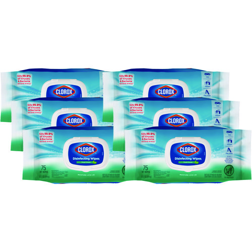 Disinfecting Wipes, Easy Pull Pack, 1-Ply, 8 x 7, Fresh Scent, White, 75 Towels/Box, 6 Boxes/Carton