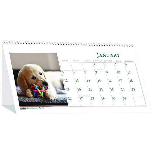 Earthscapes Recycled Desk Tent Monthly Calendar, Puppies Photography, 8.5 x 4.5, White Sheets, 12-Month (Jan to Dec): 2025