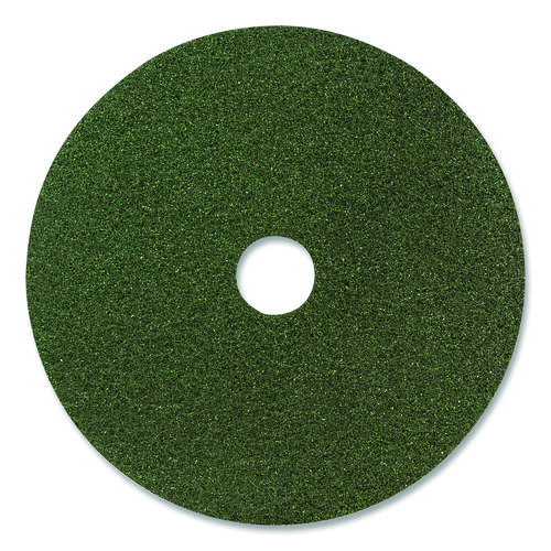 Black Diamond 3000 Grit Diamond Pad, 20" Diameter, Black/Green, 2/Carton