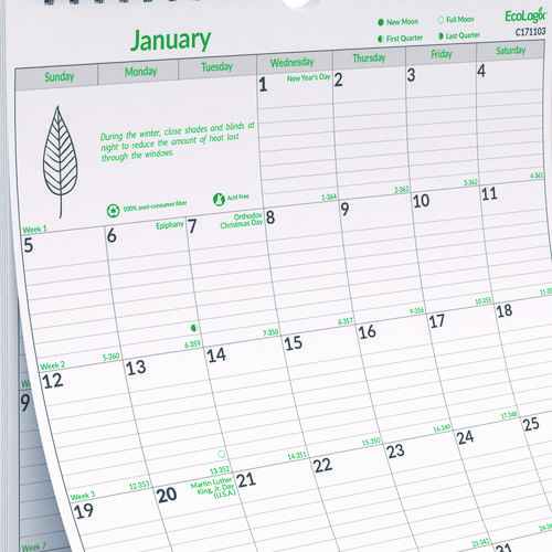 EcoLogix Monthly Wall Calendar, EcoLogix Artwork, 12 x 17, White/Green Sheets, 12-Month (Jan to Dec): 2025