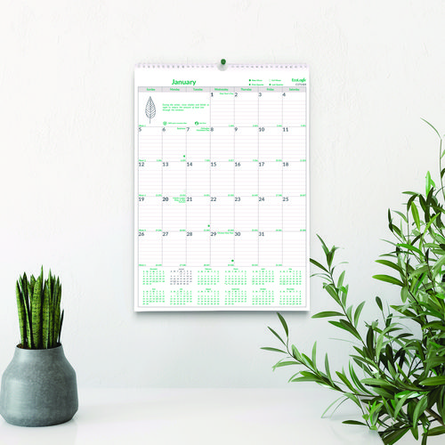 EcoLogix Monthly Wall Calendar, EcoLogix Artwork, 12 x 17, White/Green Sheets, 12-Month (Jan to Dec): 2025