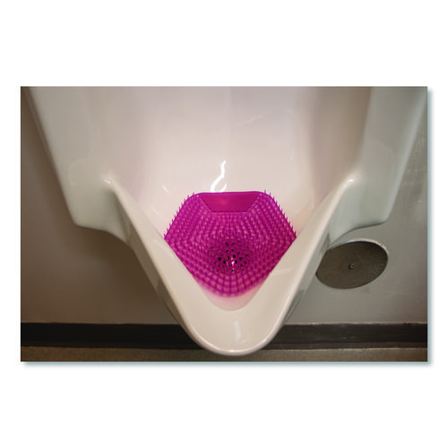 WCBasix Urinal Screen, Apple Cinnamon Scent, Red, 0.11 oz, 10/Box