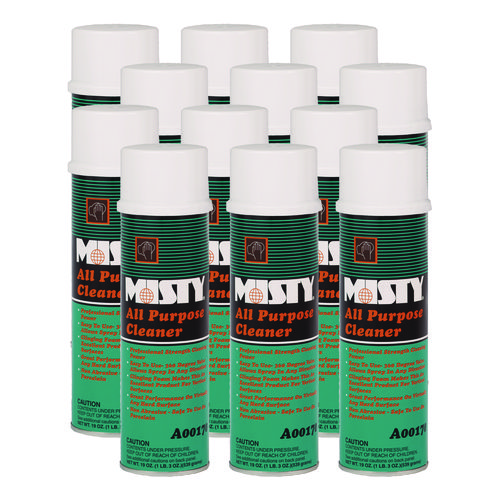 All-Purpose Cleaner, Mint Scent, 19 oz Aerosol Spray, 12/Carton