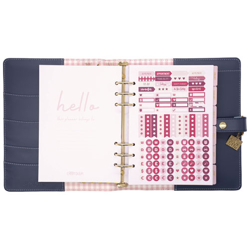 A5 Planner, Feathers, 10.24 x 9.25, Blue/Pink/White/Yellow Cover, 12-Month